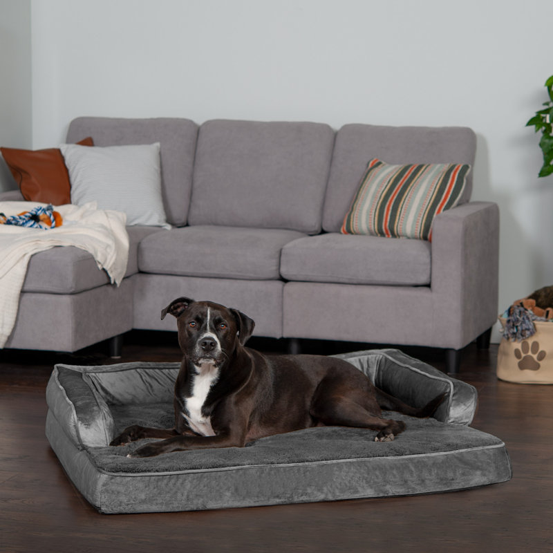 Furhaven comfy couch hotsell